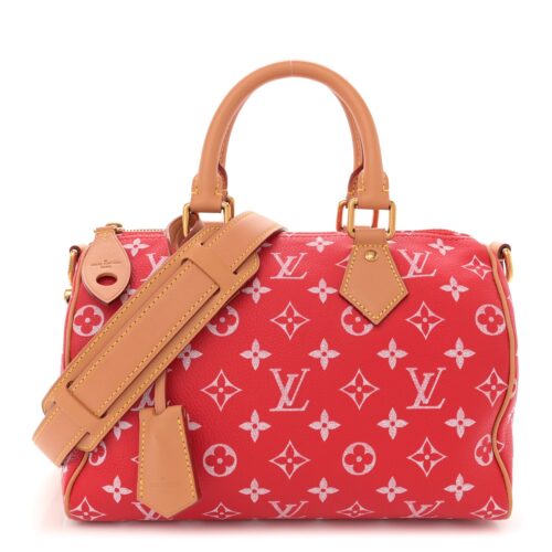 Louis Vuitton Soft Speedy