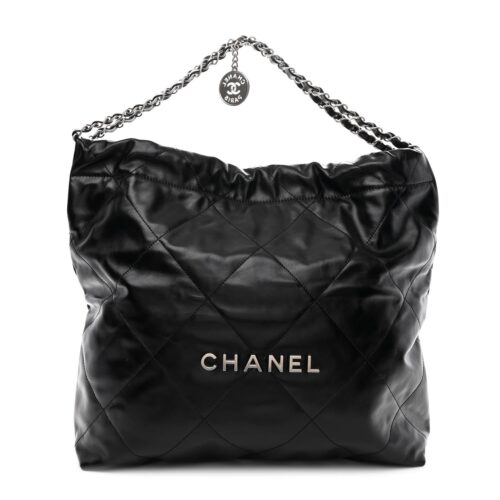 Chanel Small Hobo Pouch