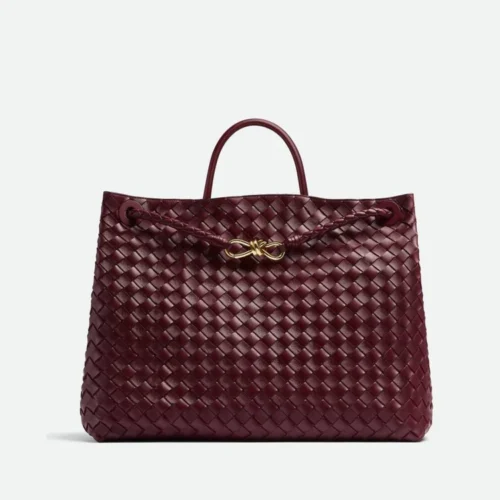 Bottega Veneta Andiamo bag