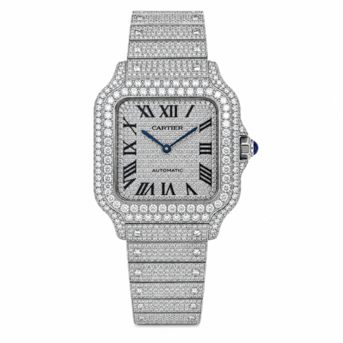 Santos Iced Out Stainless Steel