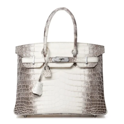 Niloticus Crocodile Himalaya Birkin