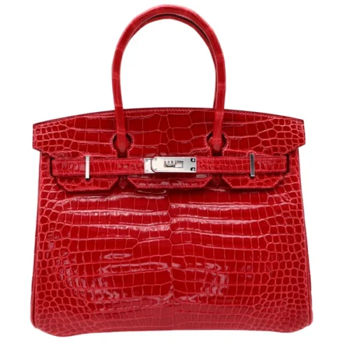 Birkin Shiny Crocodile Palladium Hardware